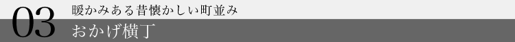 暖かみある昔懐かしい町並み　おかげ横丁