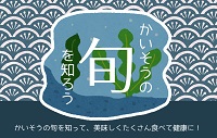 海藻の旬を知ろう